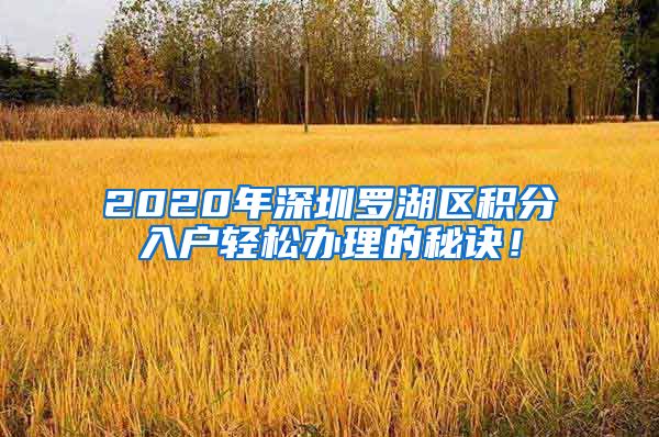 2020年深圳罗湖区积分入户轻松办理的秘诀！