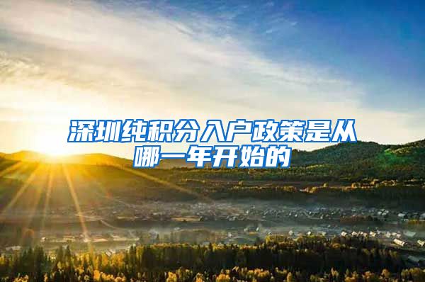深圳纯积分入户政策是从哪一年开始的