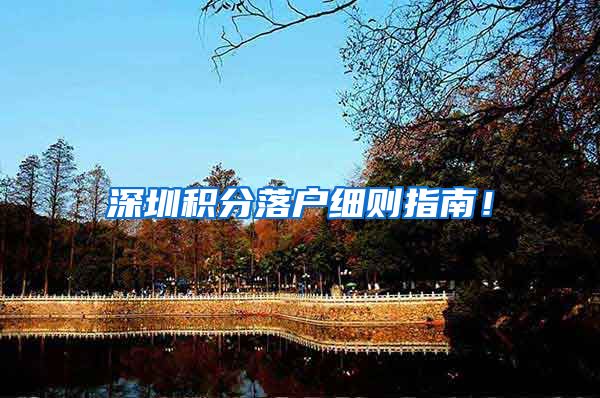 深圳积分落户细则指南！