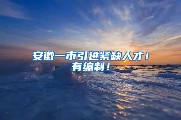 安徽一市引进紧缺人才！有编制！