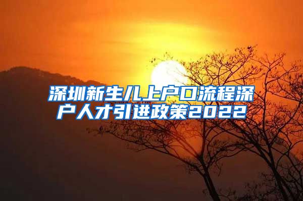 深圳新生儿上户口流程深户人才引进政策2022
