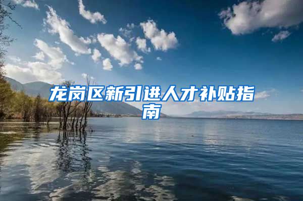 龙岗区新引进人才补贴指南