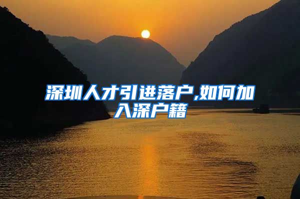 深圳人才引进落户,如何加入深户籍