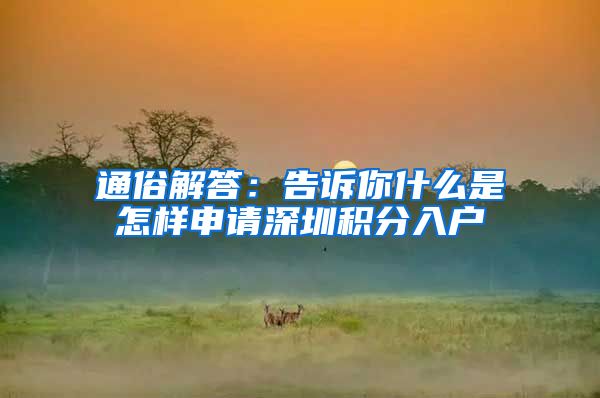 通俗解答：告诉你什么是怎样申请深圳积分入户