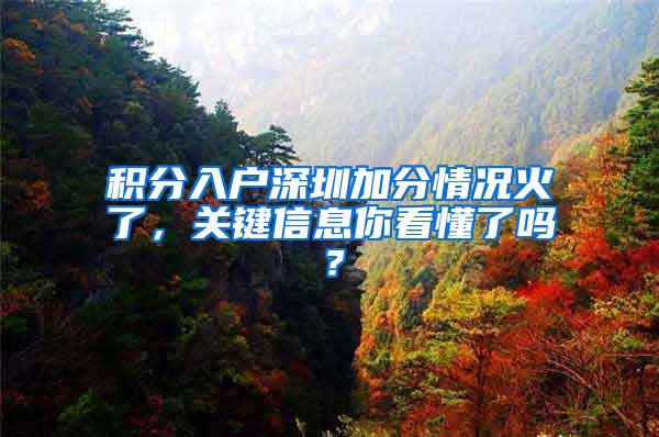积分入户深圳加分情况火了，关键信息你看懂了吗？