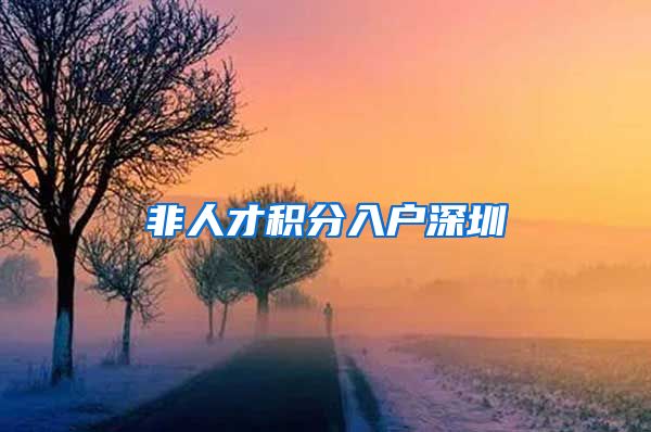 非人才积分入户深圳