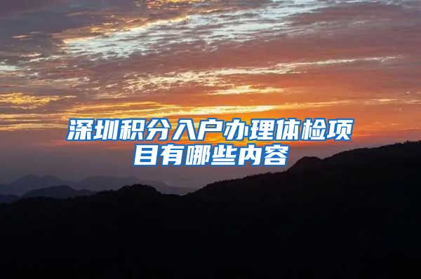 深圳积分入户办理体检项目有哪些内容