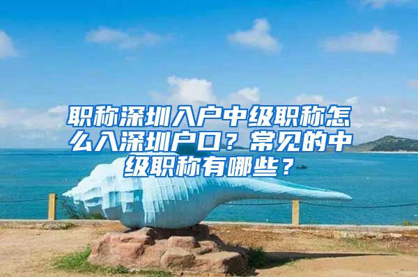 职称深圳入户中级职称怎么入深圳户口？常见的中级职称有哪些？