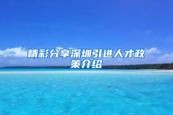 精彩分享深圳引进人才政策介绍
