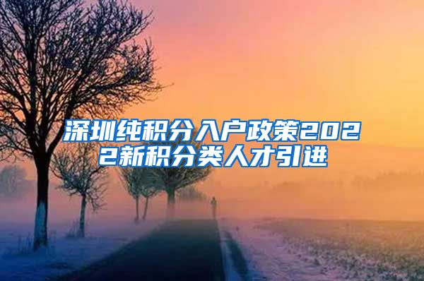 深圳纯积分入户政策2022新积分类人才引进