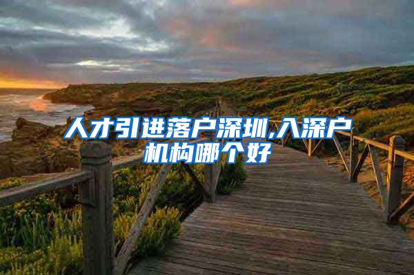 人才引进落户深圳,入深户机构哪个好