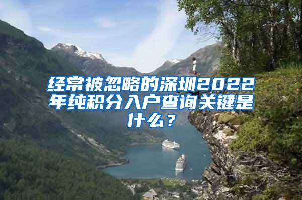 经常被忽略的深圳2022年纯积分入户查询关键是什么？