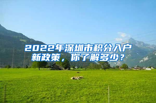 2022年深圳市积分入户新政策，你了解多少？