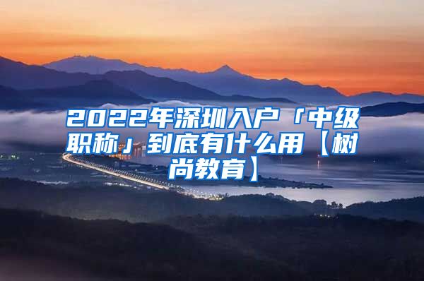 2022年深圳入户「中级职称」到底有什么用【树尚教育】