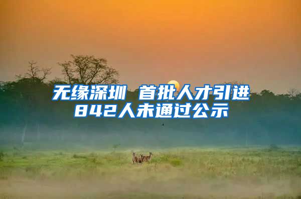 无缘深圳 首批人才引进842人未通过公示