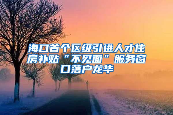 海口首个区级引进人才住房补贴“不见面”服务窗口落户龙华