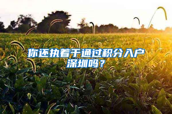 你还执着于通过积分入户深圳吗？