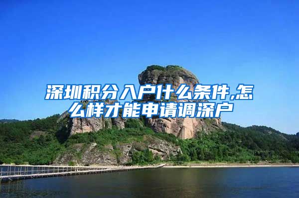 深圳积分入户什么条件,怎么样才能申请调深户