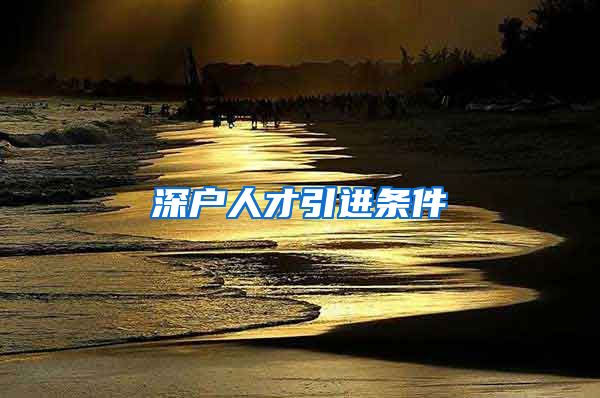 深户人才引进条件