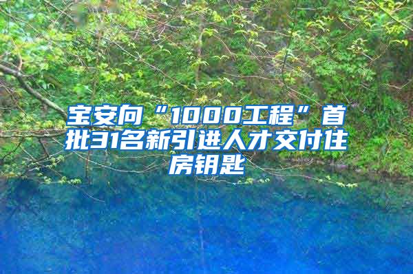 宝安向“1000工程”首批31名新引进人才交付住房钥匙