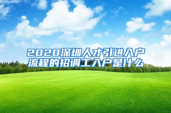 2020深圳人才引进入户流程的招调工入户是什么