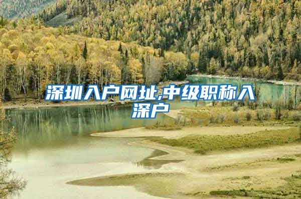 深圳入户网址,中级职称入深户