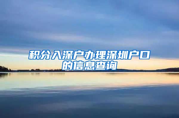 积分入深户办理深圳户口的信息查询