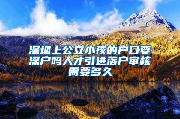 深圳上公立小孩的户口要深户吗人才引进落户审核需要多久