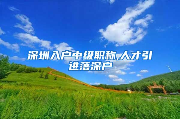 深圳入户中级职称,人才引进落深户