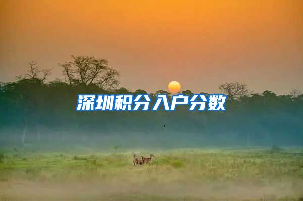 深圳积分入户分数