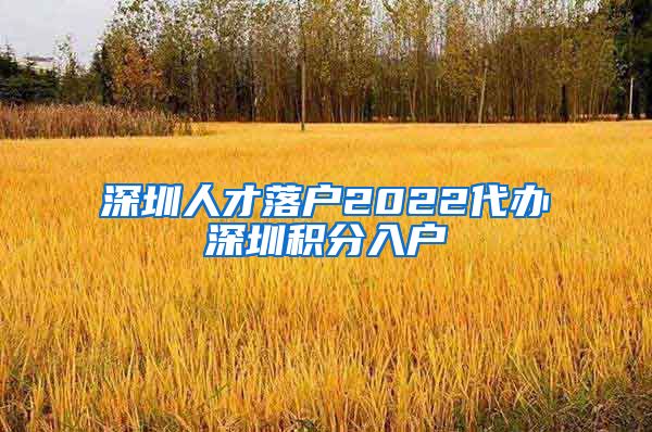 深圳人才落户2022代办深圳积分入户