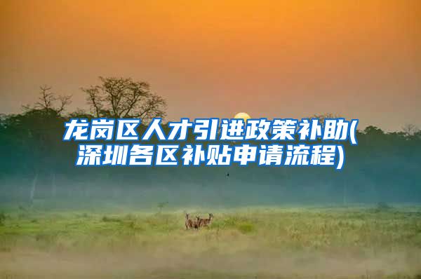 龙岗区人才引进政策补助(深圳各区补贴申请流程)