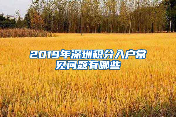 2019年深圳积分入户常见问题有哪些