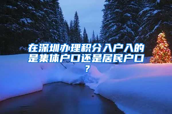 在深圳办理积分入户入的是集体户口还是居民户口？
