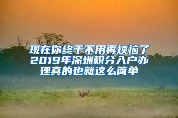 现在你终于不用再烦恼了2019年深圳积分入户办理真的也就这么简单