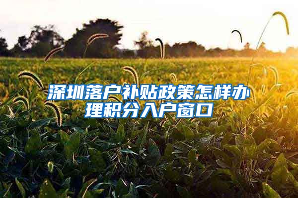 深圳落户补贴政策怎样办理积分入户窗口