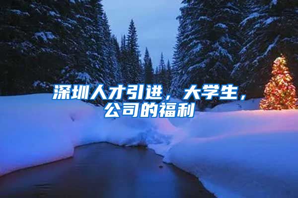 深圳人才引进，大学生，公司的福利