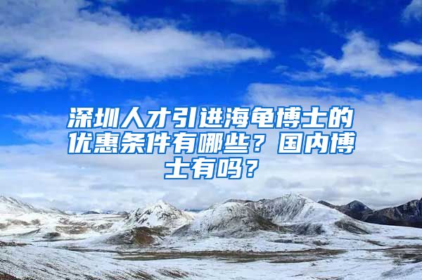 深圳人才引进海龟博士的优惠条件有哪些？国内博士有吗？