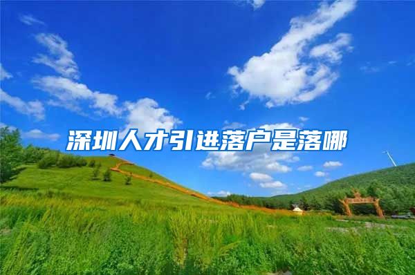 深圳人才引进落户是落哪