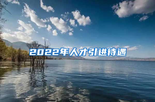 2022年人才引进待遇