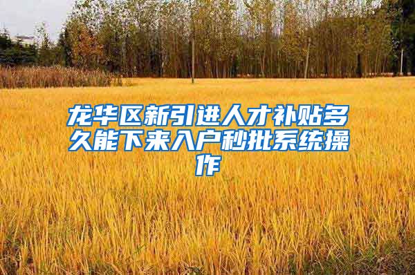龙华区新引进人才补贴多久能下来入户秒批系统操作
