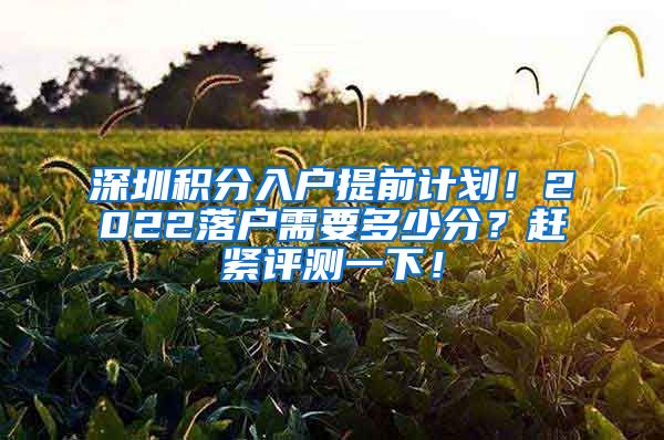 深圳积分入户提前计划！2022落户需要多少分？赶紧评测一下！