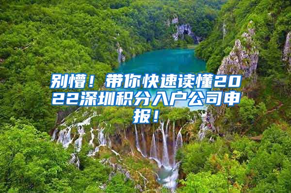 别懵！带你快速读懂2022深圳积分入户公司申报！
