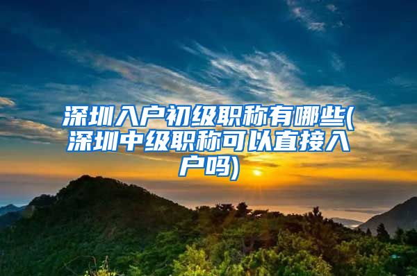 深圳入户初级职称有哪些(深圳中级职称可以直接入户吗)
