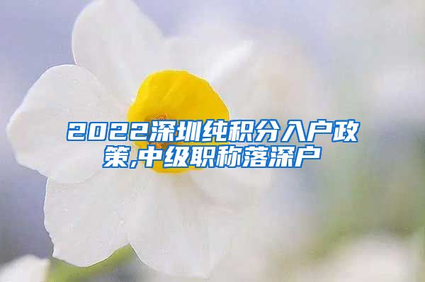 2022深圳纯积分入户政策,中级职称落深户