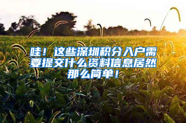 哇！这些深圳积分入户需要提交什么资料信息居然那么简单！