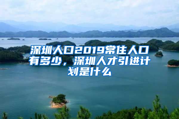 深圳人口2019常住人口有多少，深圳人才引进计划是什么
