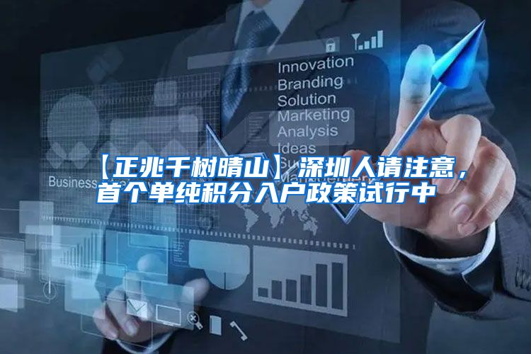 【正兆千树晴山】深圳人请注意，首个单纯积分入户政策试行中