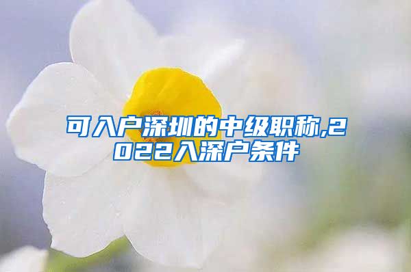 可入户深圳的中级职称,2022入深户条件