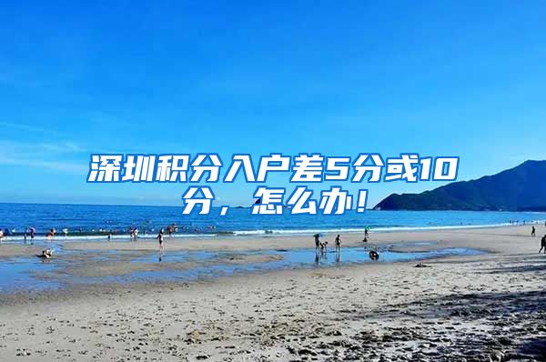 深圳积分入户差5分或10分，怎么办！